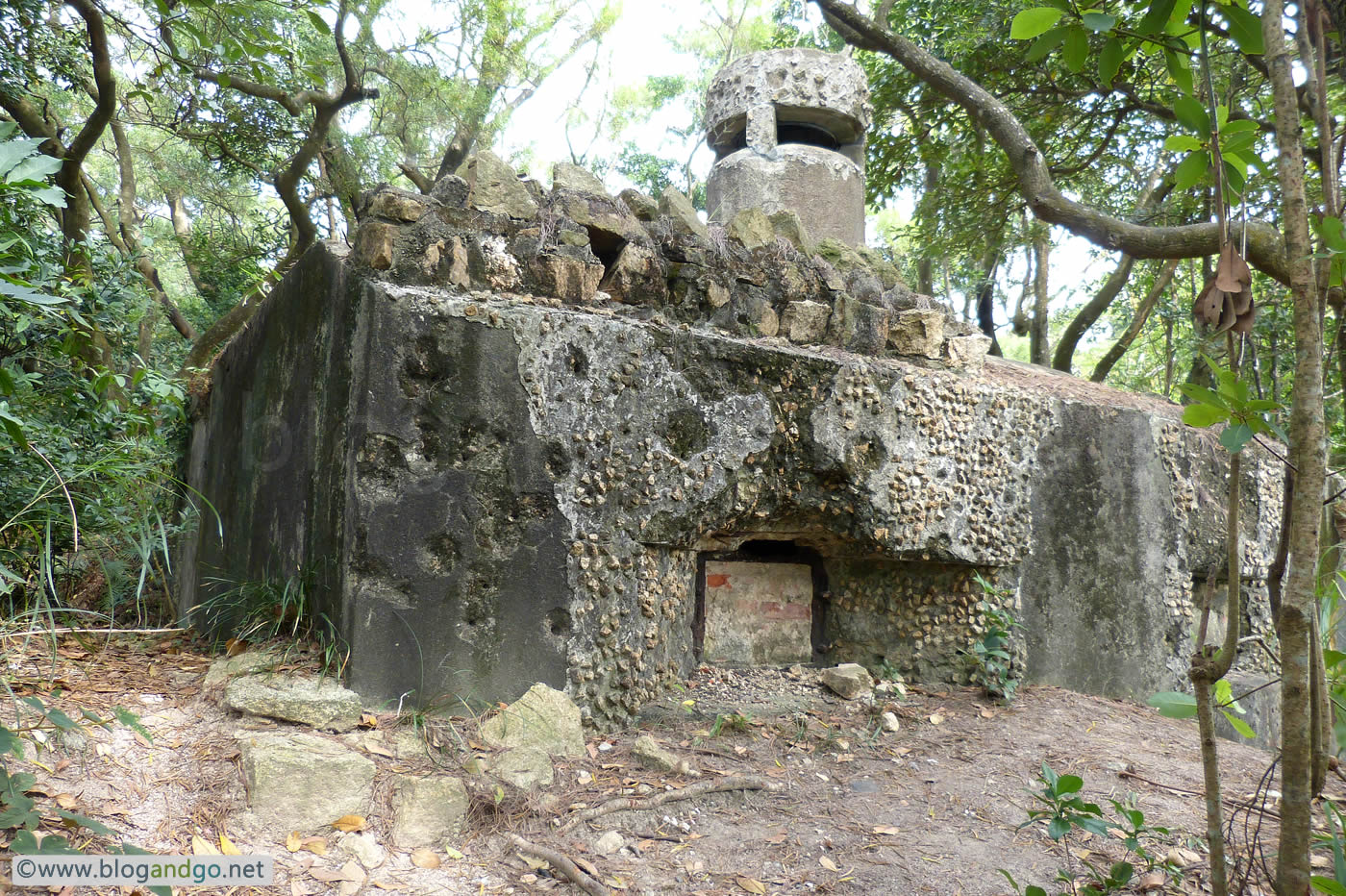 Wong Nai Chung - PB1 (JLO1)